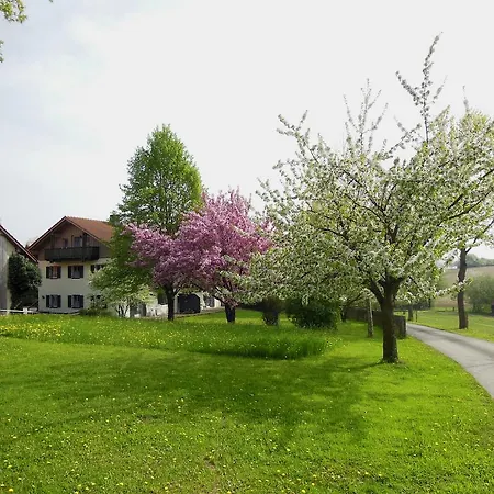 Apartment Gut Schwarz-n Hof